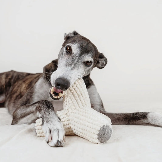 Hundespielzeug Breuer Cream