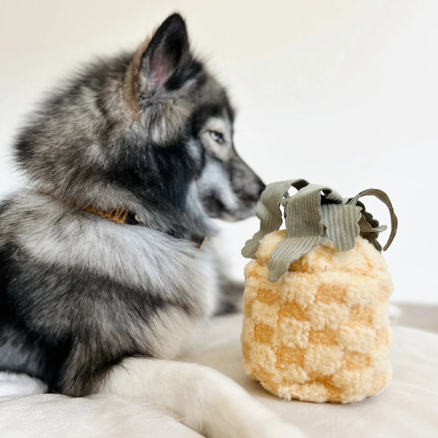 Hundespielzeug Ananas Pop