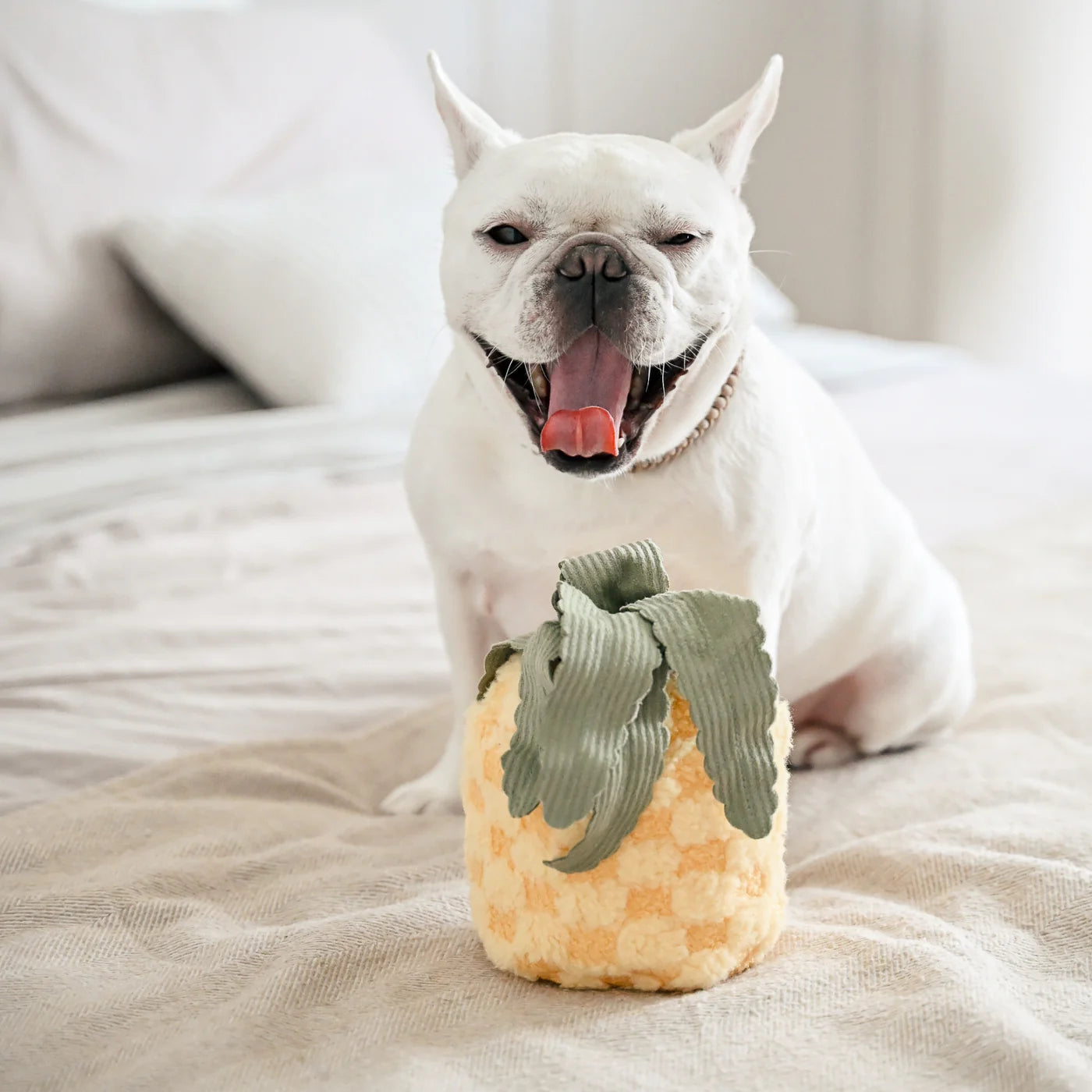 Hundespielzeug Ananas Pop