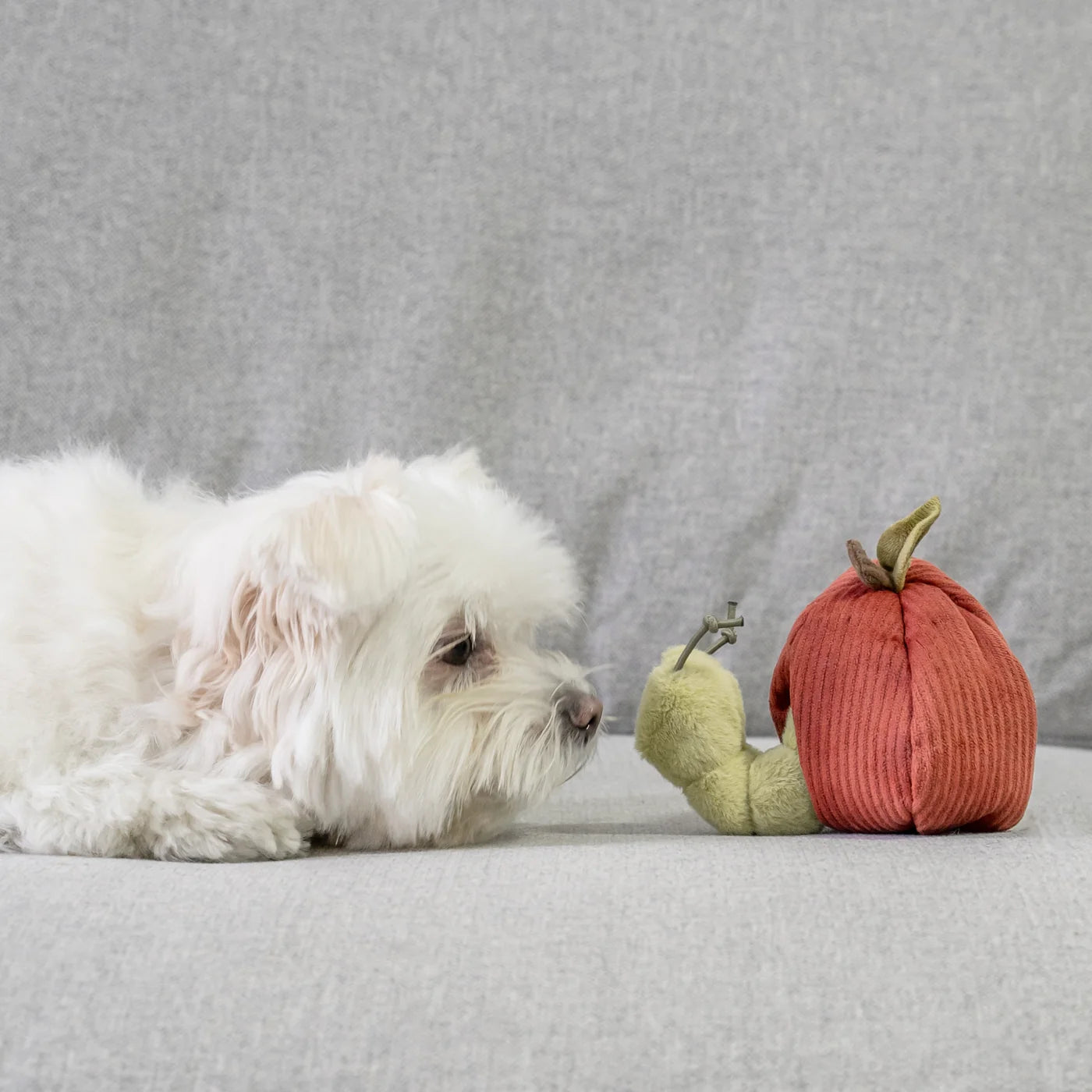 Hundespielzeug Apfel