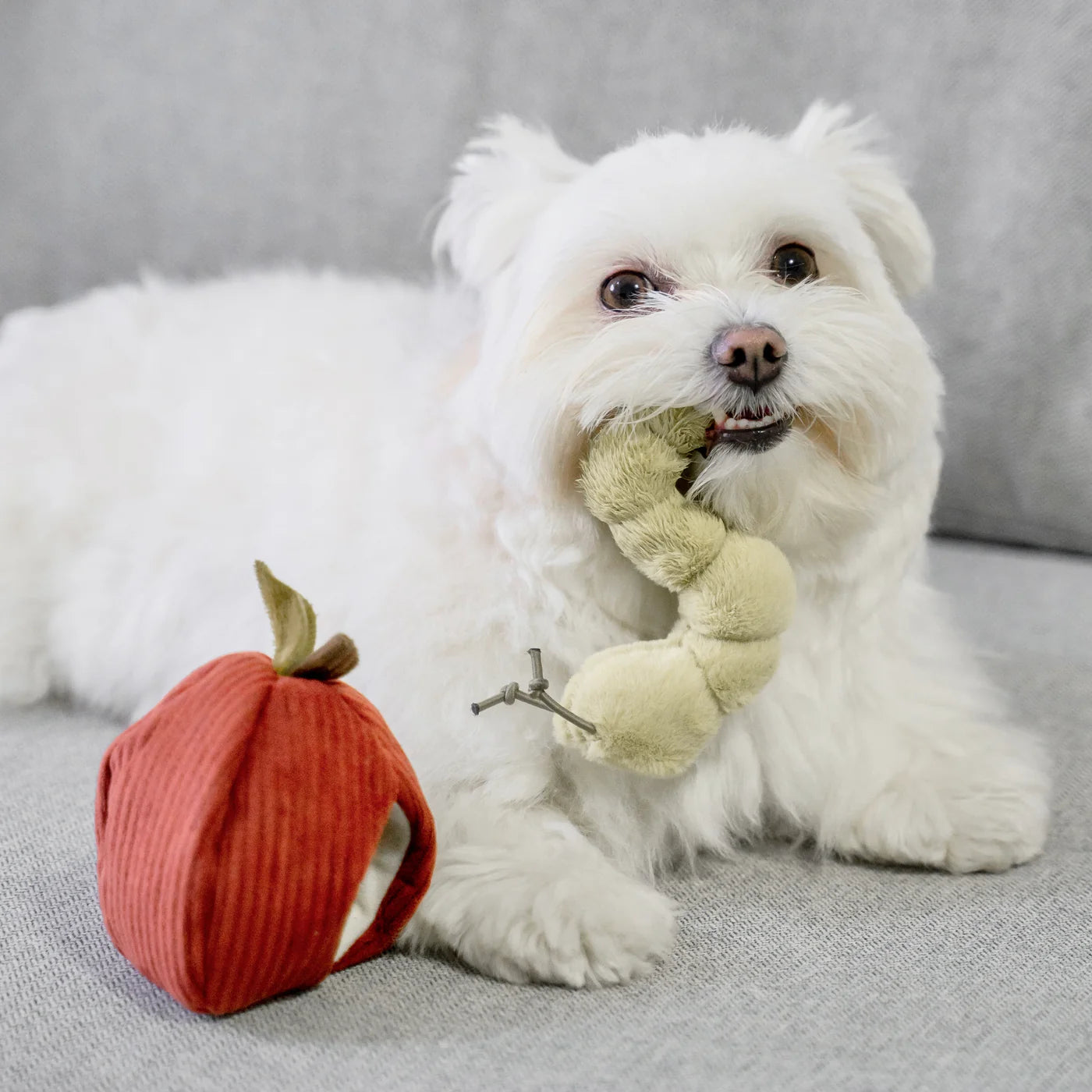 Hundespielzeug Apfel