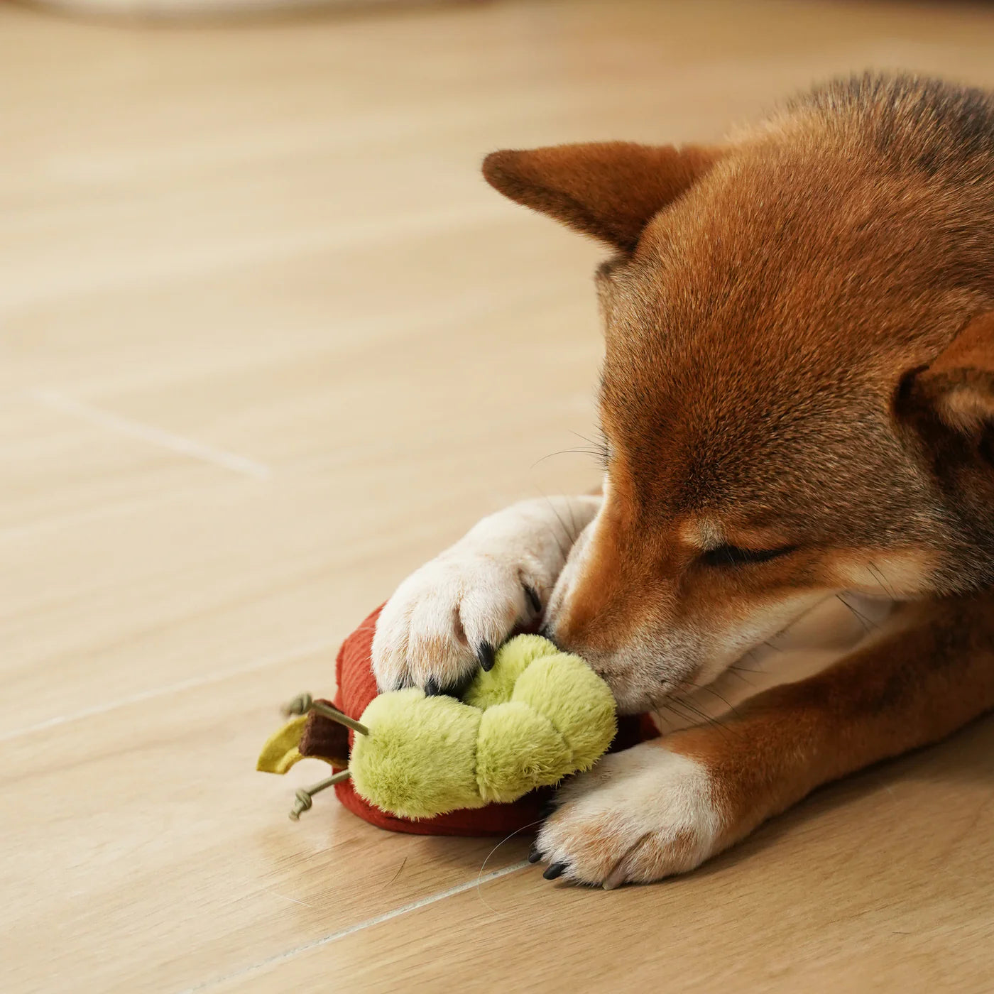 Hundespielzeug Apfel