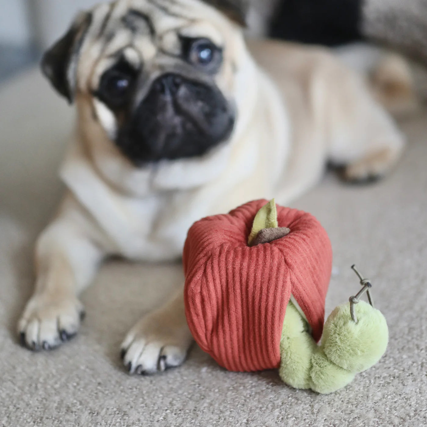 Hundespielzeug Apfel