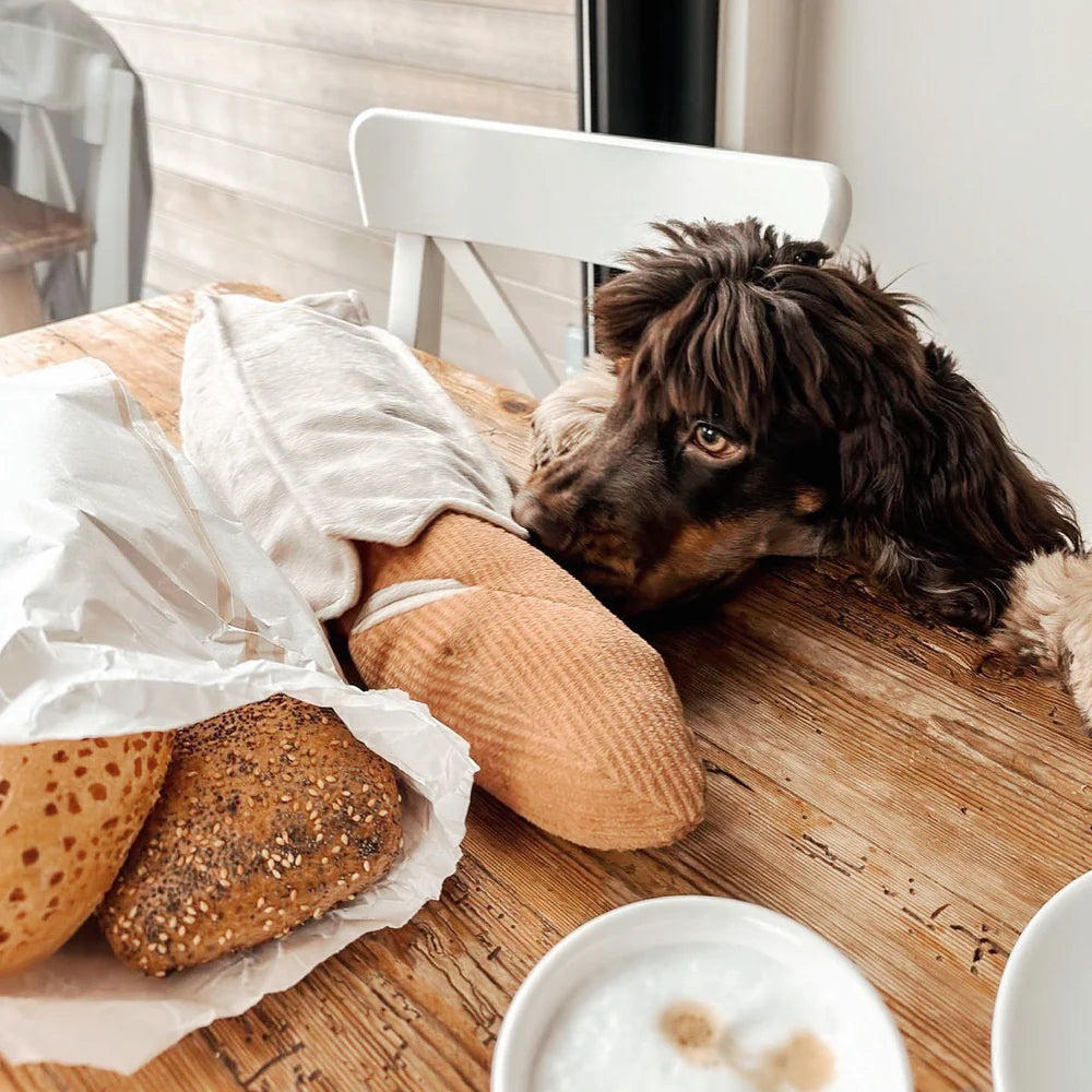 Hundespielzeug Baguette