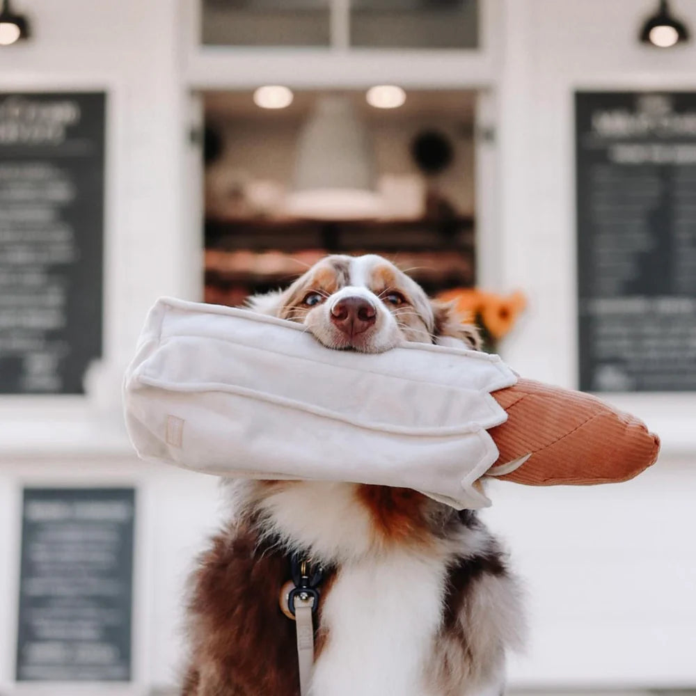 Hundespielzeug Baguette