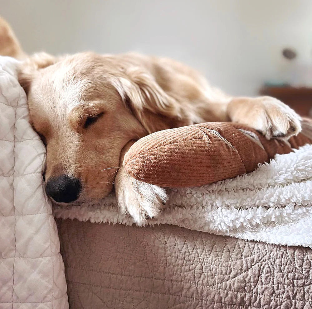 Hundespielzeug Baguette