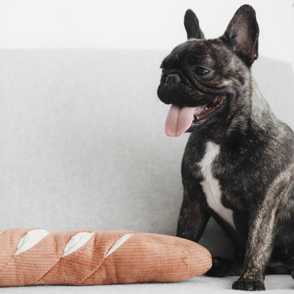 Hundespielzeug Baguette