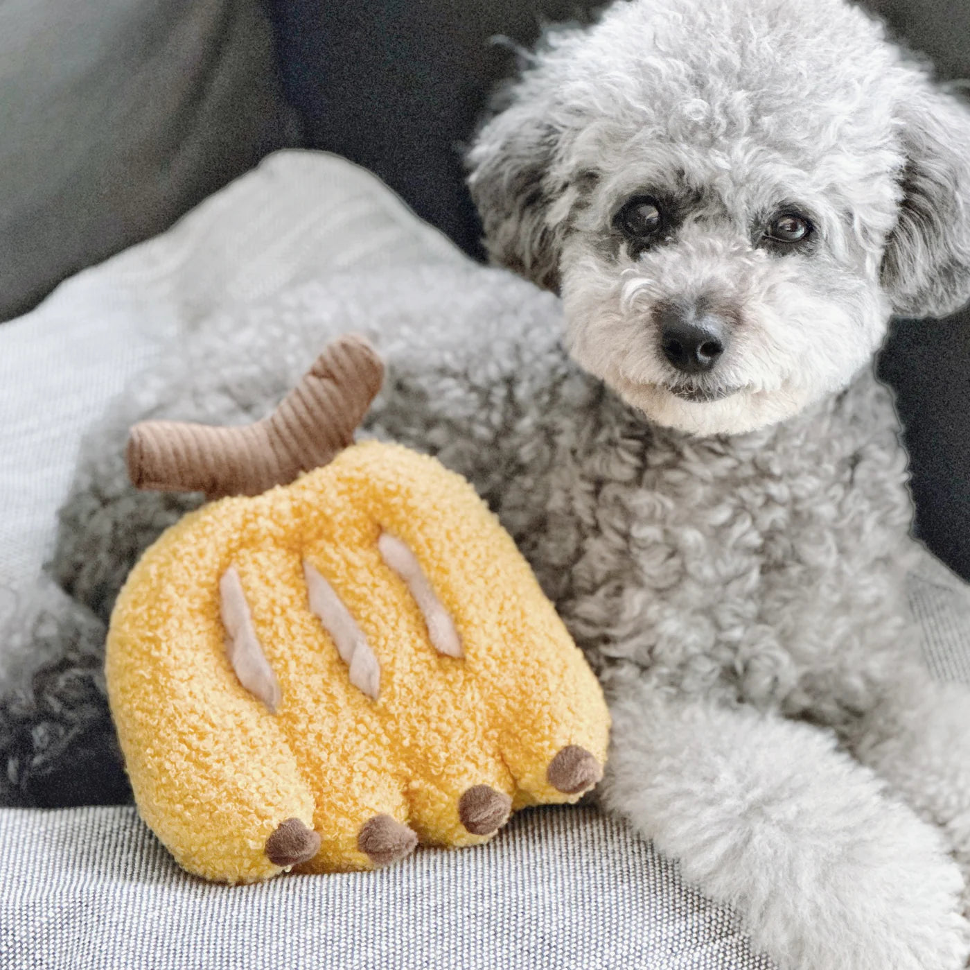 Hundespielzeug Banane