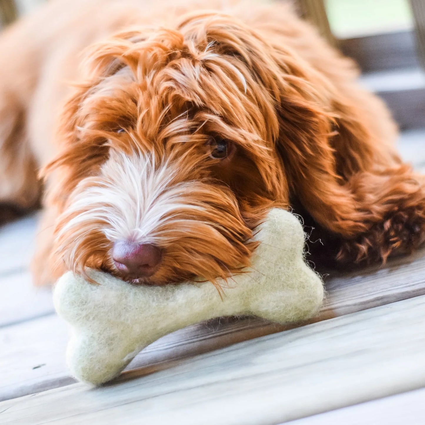 Filz Hundespielzeug Knochen Orange