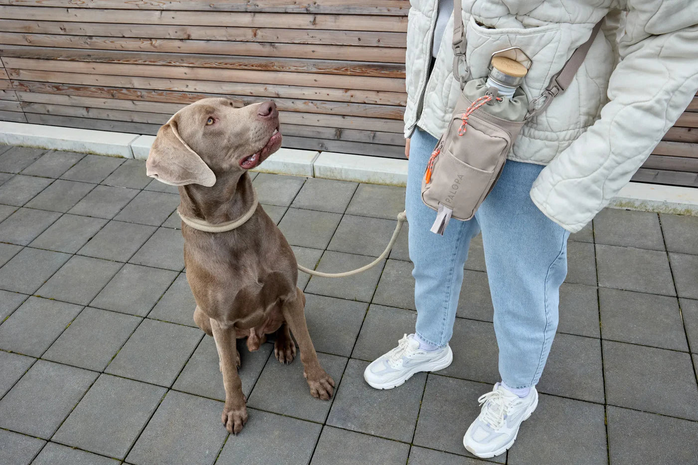 Flaschen- und Leckerlitasche Boudi Taupe