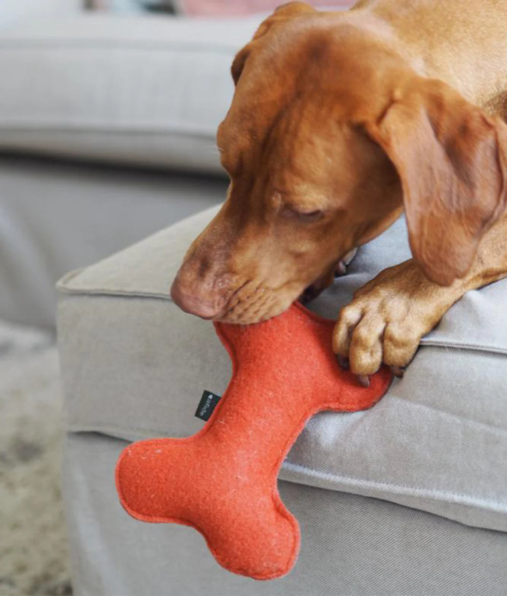 Hundespielzeug Play Terrakotta