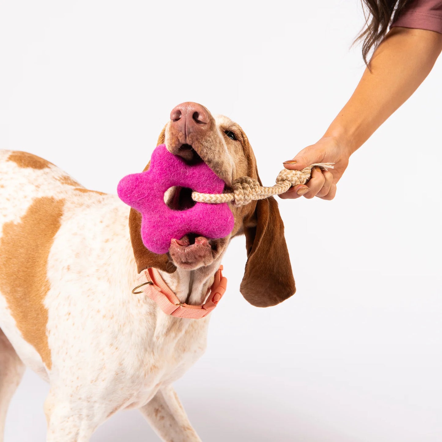 Filz Hundespielzeug Stern Pink