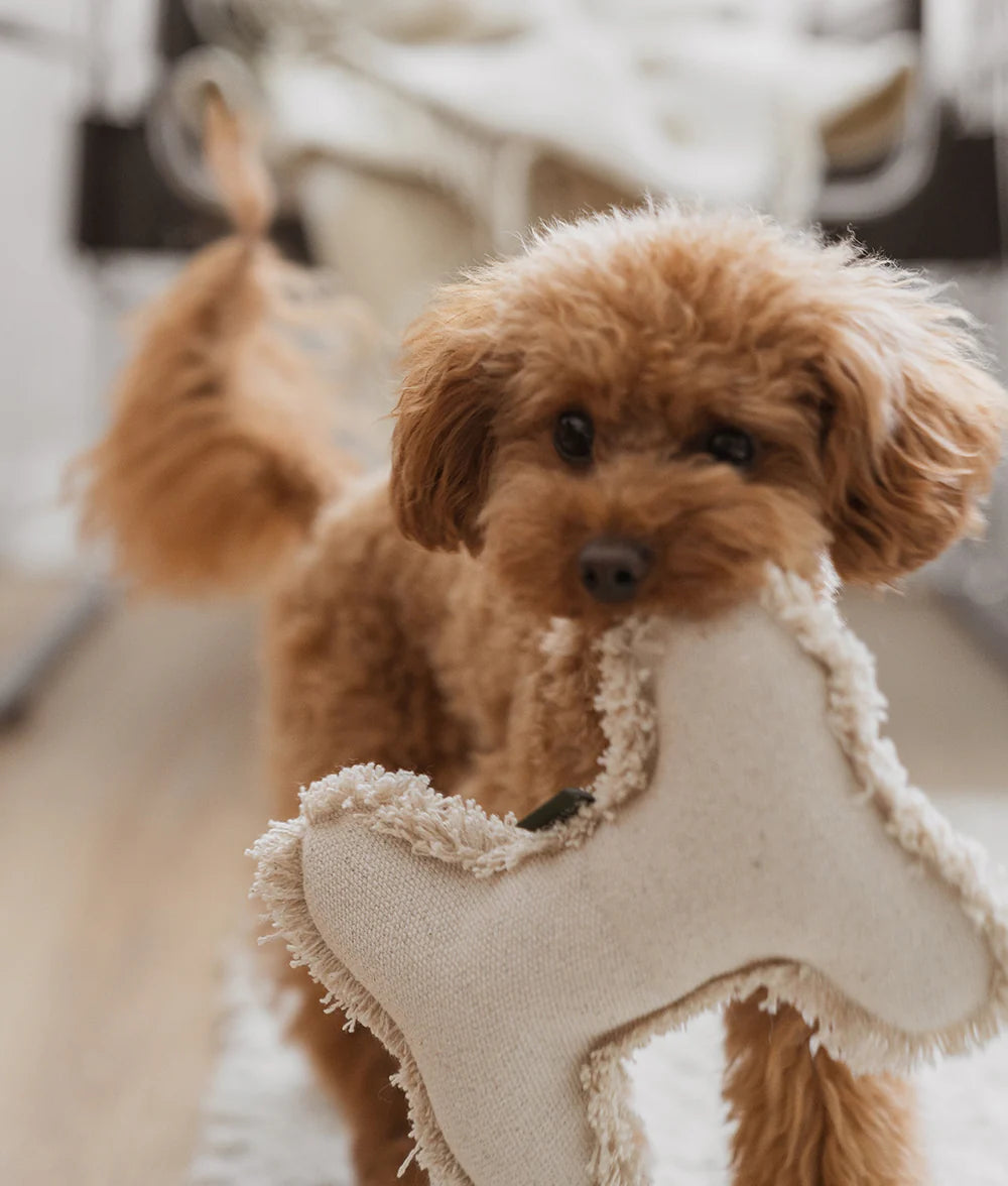 Hundespielzeug Knochen Fleky Weiß