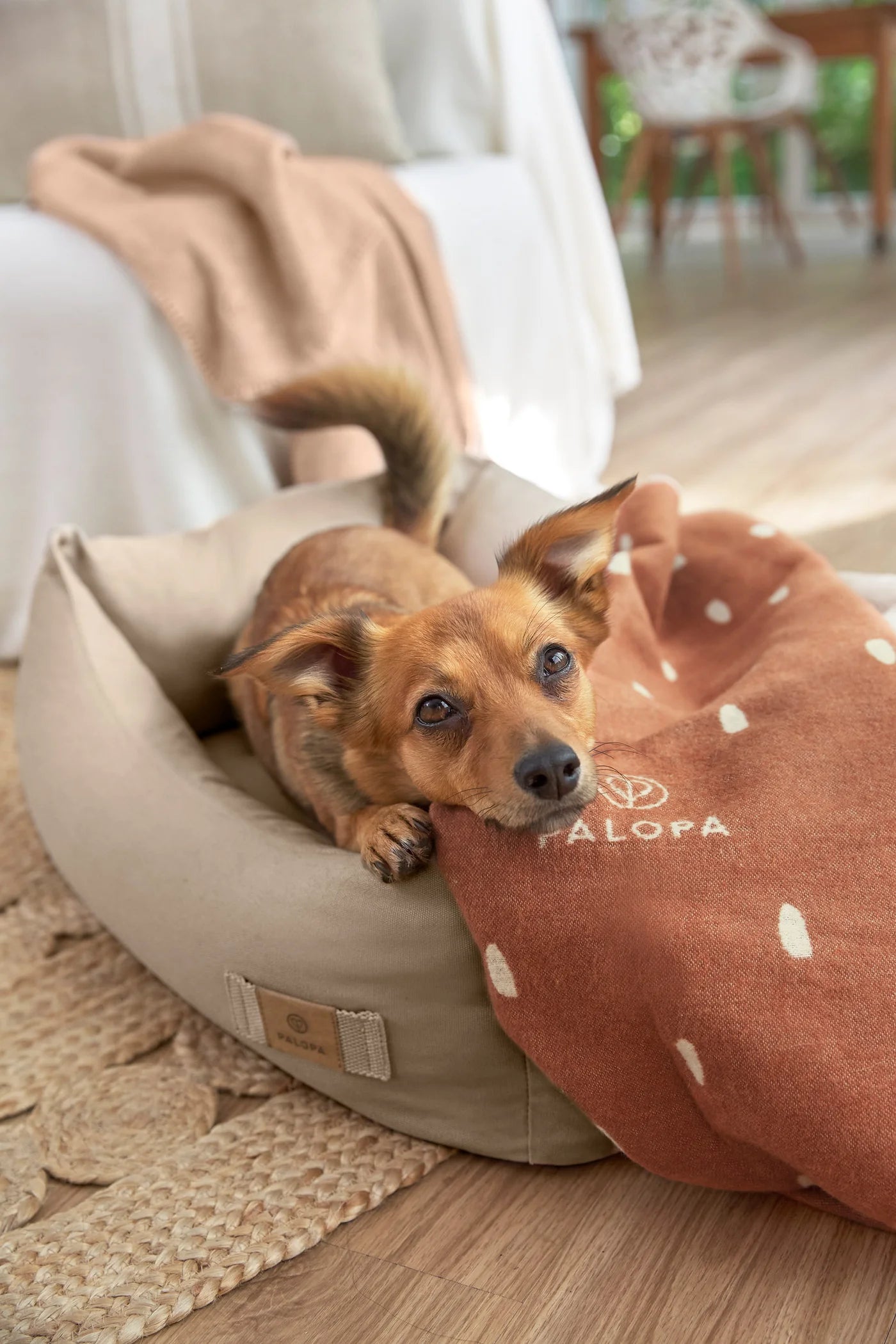 Hundedecke Ida Punkte Zimt Milchig