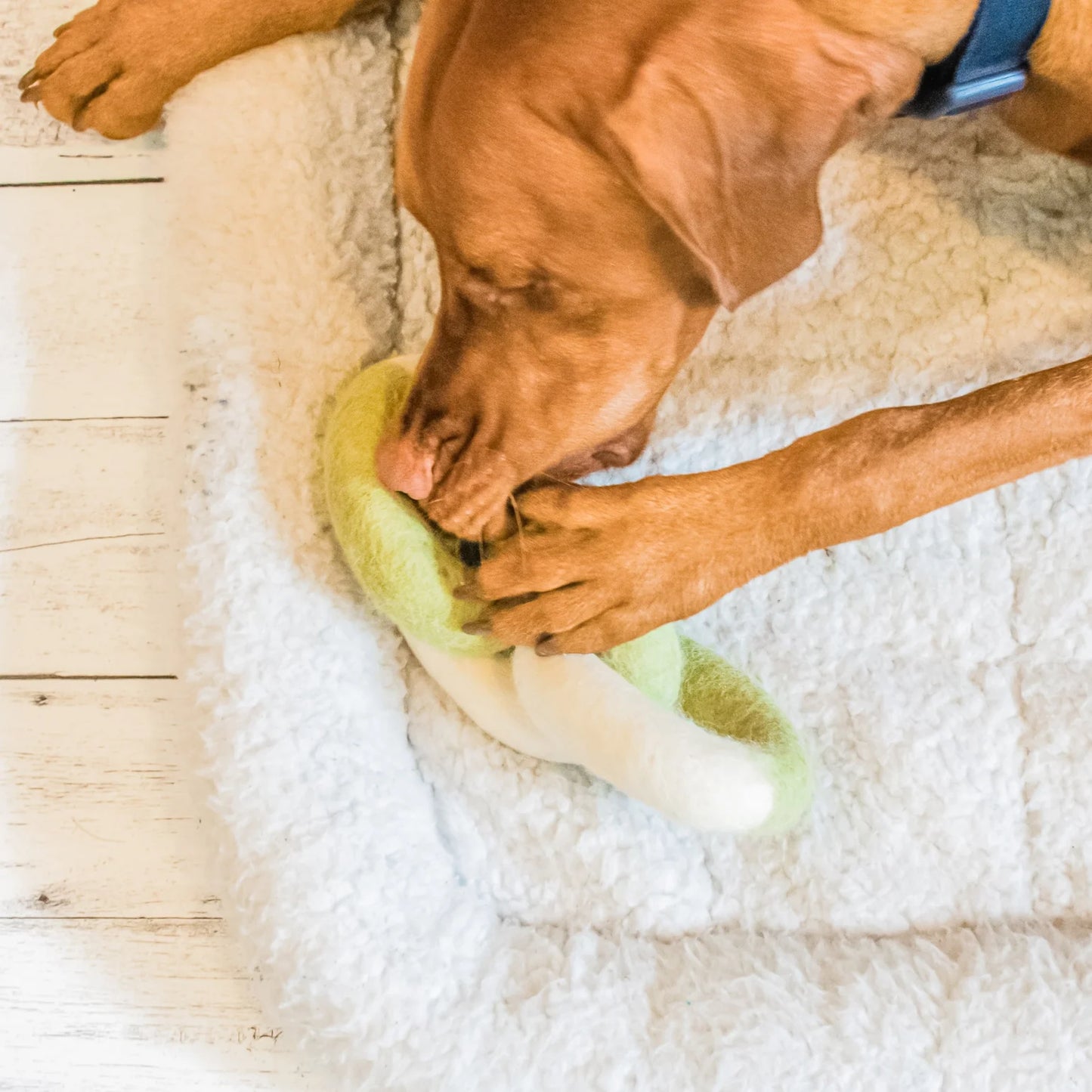 Filz Hundespielzeug Kette Türkis