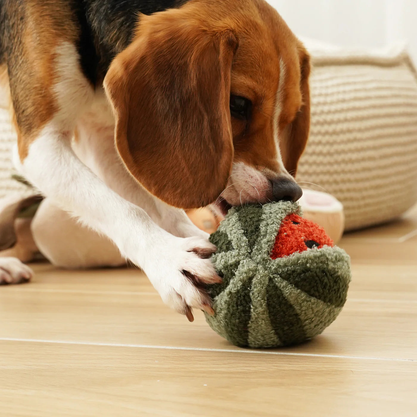 Hundespielzeug Wassermelone Pop