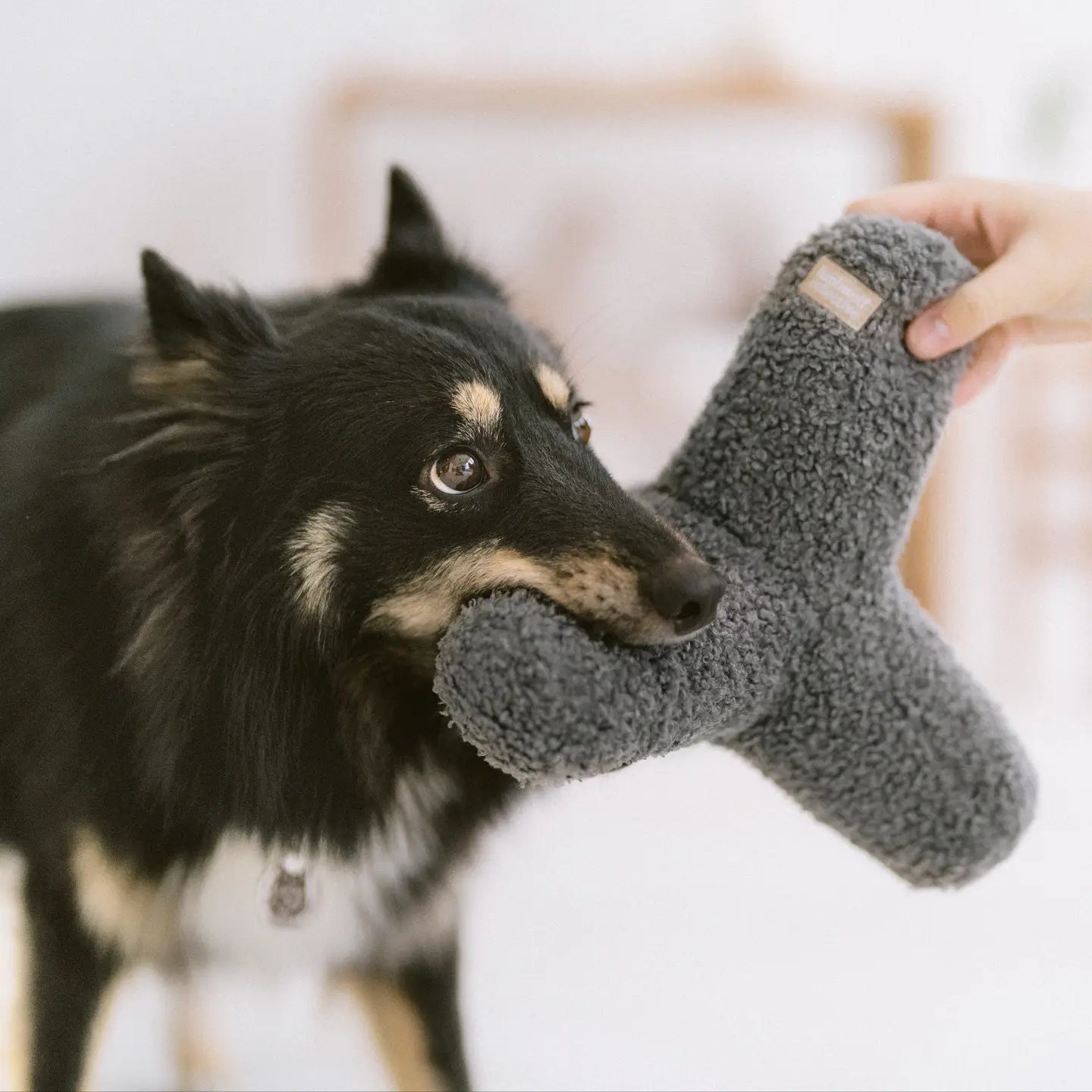 Hundespielzeug O Breuer Creme