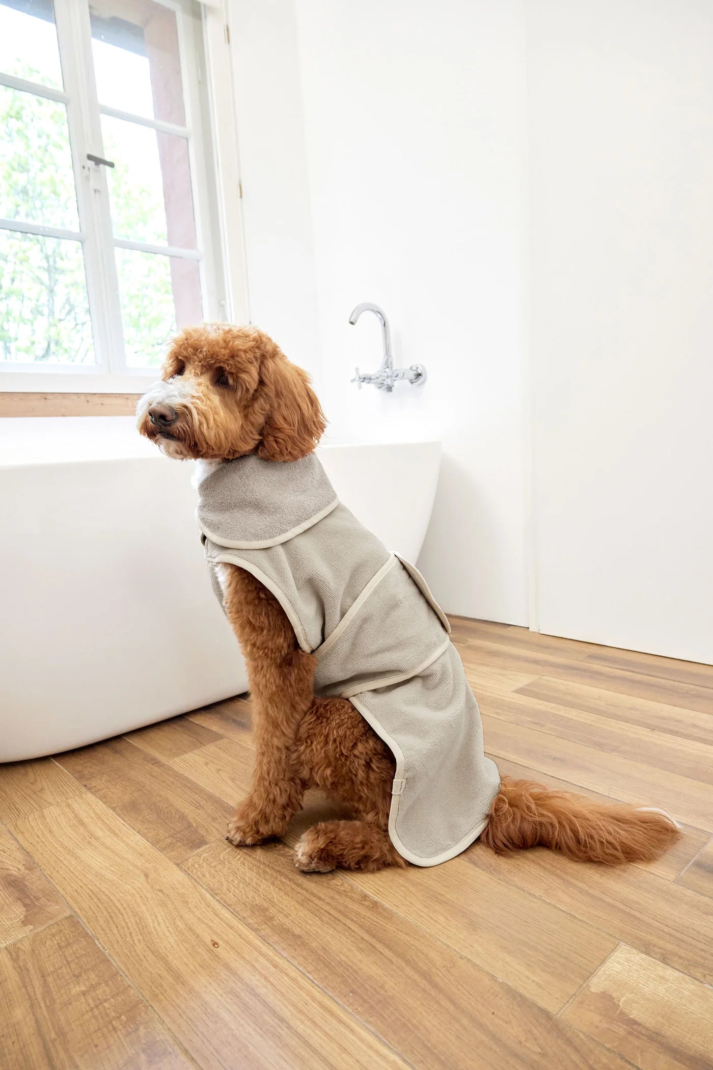 Hundebademantel Robi Beige